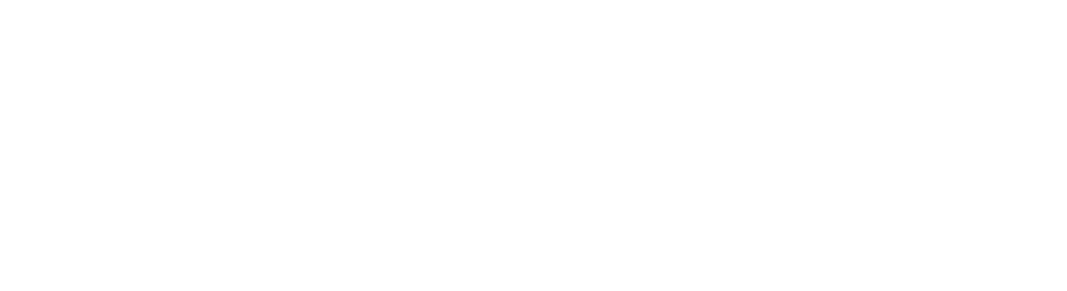 Logo Delfin
