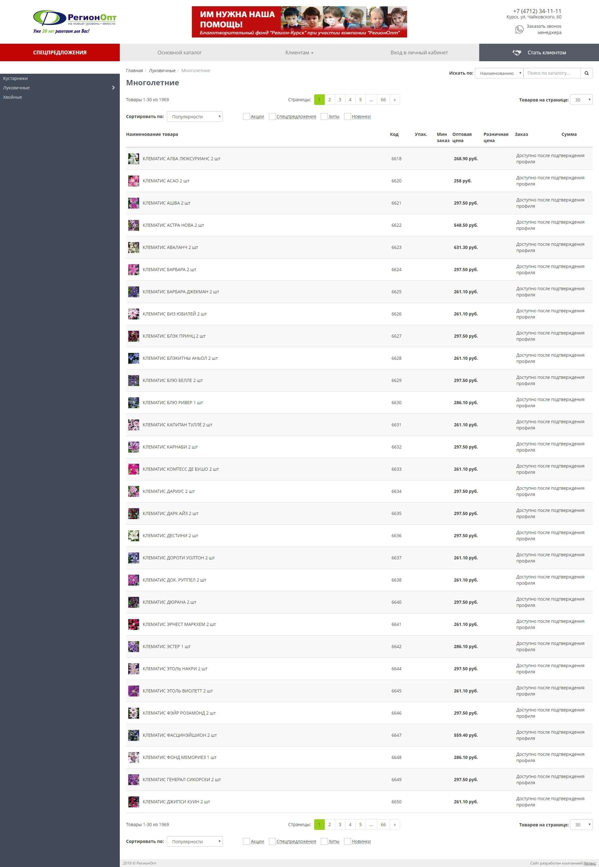 image of the desktop version of the site «Regionopt»