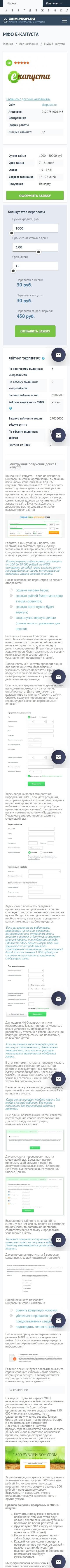 image of the mobile version of the site «Zaim»